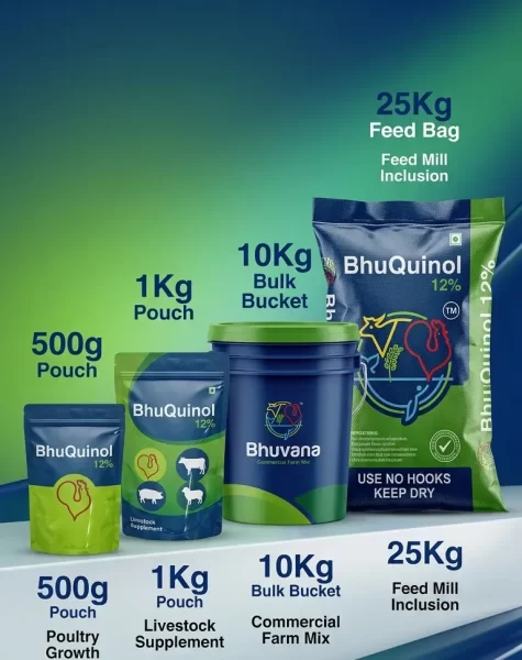 Bhuquinol12-1