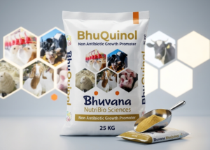 Bhuquinol60%