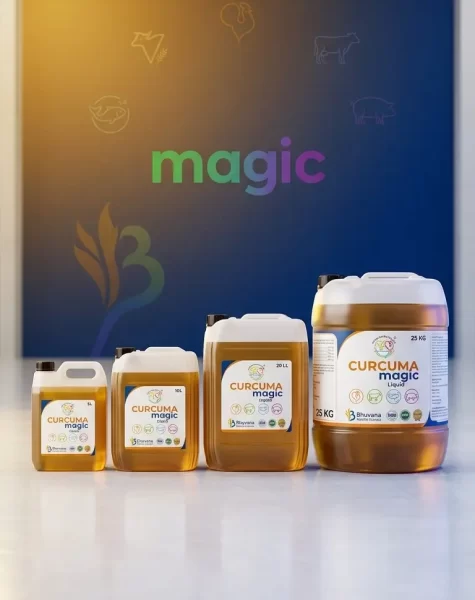 CurcumaMagicLiq3